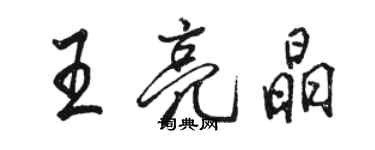 骆恒光王亮晶行书个性签名怎么写