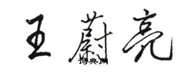 骆恒光王蔚亮行书个性签名怎么写