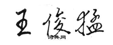骆恒光王俊猛行书个性签名怎么写