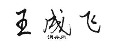 骆恒光王成飞行书个性签名怎么写