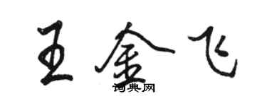 骆恒光王金飞行书个性签名怎么写