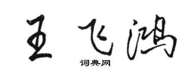 骆恒光王飞鸿行书个性签名怎么写