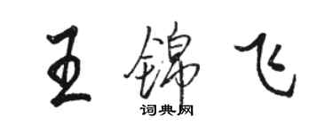 骆恒光王锦飞行书个性签名怎么写