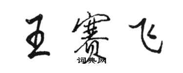 骆恒光王赛飞行书个性签名怎么写