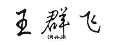 骆恒光王群飞行书个性签名怎么写