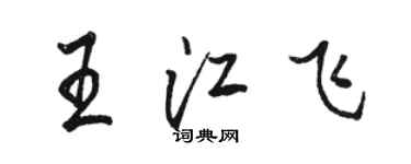 骆恒光王江飞行书个性签名怎么写