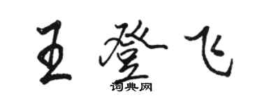 骆恒光王登飞行书个性签名怎么写