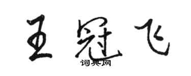 骆恒光王冠飞行书个性签名怎么写