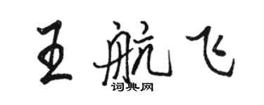 骆恒光王航飞行书个性签名怎么写
