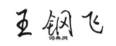 骆恒光王钢飞行书个性签名怎么写