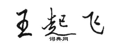 骆恒光王起飞行书个性签名怎么写