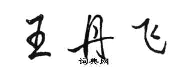 骆恒光王丹飞行书个性签名怎么写
