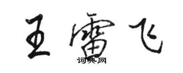骆恒光王雷飞行书个性签名怎么写