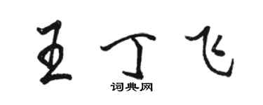 骆恒光王丁飞行书个性签名怎么写