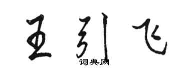 骆恒光王引飞行书个性签名怎么写