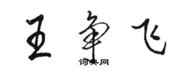 骆恒光王争飞行书个性签名怎么写