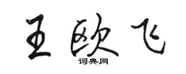骆恒光王欧飞行书个性签名怎么写