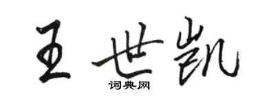 骆恒光王世凯行书个性签名怎么写