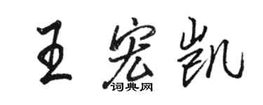 骆恒光王宏凯行书个性签名怎么写