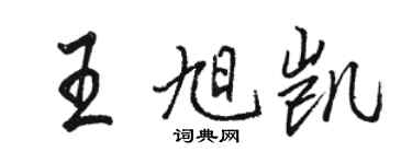 骆恒光王旭凯行书个性签名怎么写