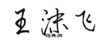 骆恒光王沫飞行书个性签名怎么写