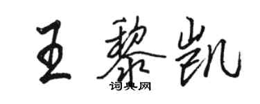 骆恒光王黎凯行书个性签名怎么写