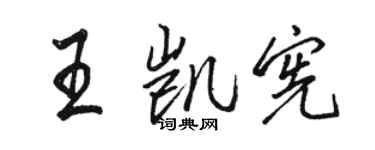 骆恒光王凯宪行书个性签名怎么写