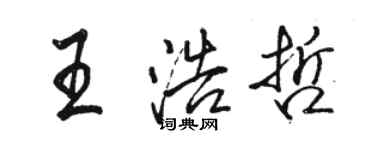 骆恒光王浩哲行书个性签名怎么写