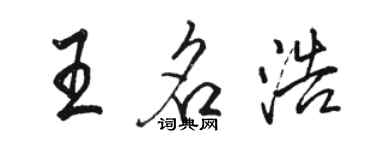 骆恒光王名浩行书个性签名怎么写