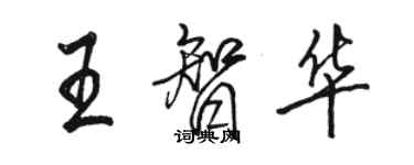 骆恒光王智华行书个性签名怎么写