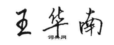 骆恒光王华南行书个性签名怎么写
