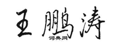 骆恒光王鹏涛行书个性签名怎么写