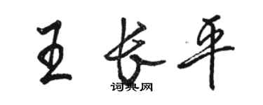 骆恒光王长平行书个性签名怎么写