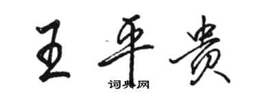 骆恒光王平贵行书个性签名怎么写