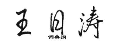 骆恒光王日涛行书个性签名怎么写