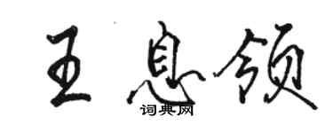 骆恒光王息领行书个性签名怎么写