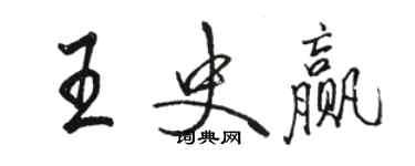 骆恒光王史赢行书个性签名怎么写