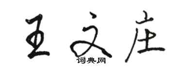骆恒光王文庄行书个性签名怎么写