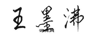 骆恒光王墨沸行书个性签名怎么写