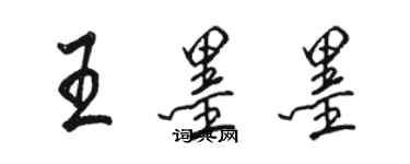 骆恒光王墨墨行书个性签名怎么写