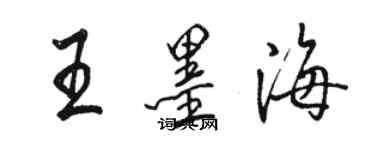 骆恒光王墨海行书个性签名怎么写