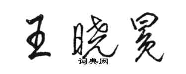 骆恒光王晓冕行书个性签名怎么写