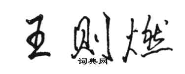骆恒光王则燃行书个性签名怎么写