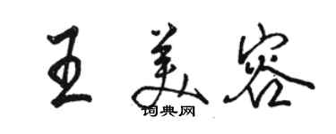 骆恒光王美容行书个性签名怎么写