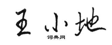骆恒光王小地行书个性签名怎么写