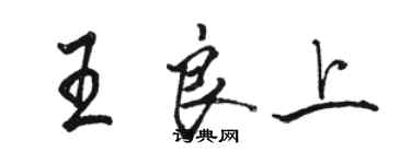 骆恒光王良上行书个性签名怎么写
