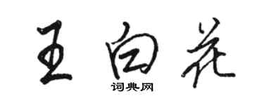 骆恒光王白花行书个性签名怎么写