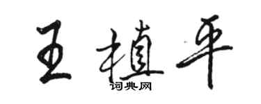 骆恒光王植平行书个性签名怎么写