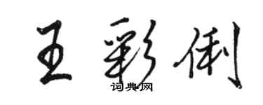 骆恒光王彩俐行书个性签名怎么写