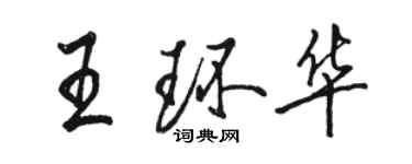 骆恒光王环华行书个性签名怎么写